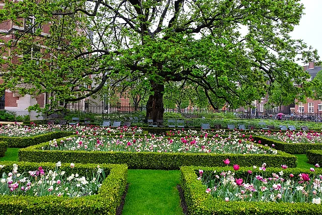 The Rijksmuseum garden in spring: clipped hedges, tulip beds and a large tree in front of the museum wall